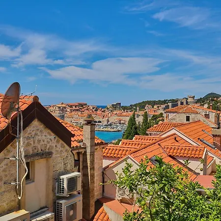 Hedera Estate, Hedera A39 Dubrovnik